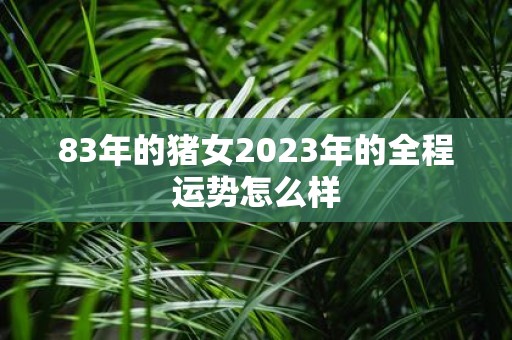 83年的猪女2023年的全程运势怎么样