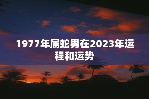 1977年属蛇男在2023年运程和运势