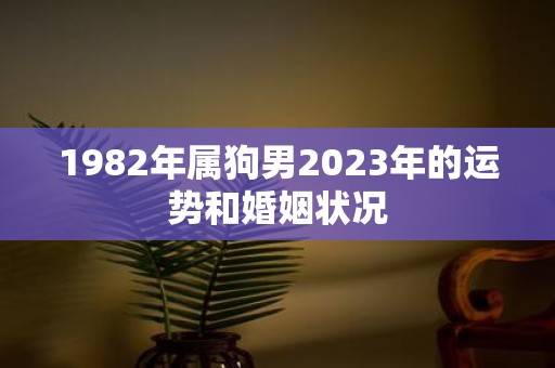 1982年属狗男2023年的运势和婚姻状况