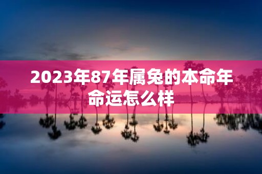 2023年87年属兔的本命年命运怎么样