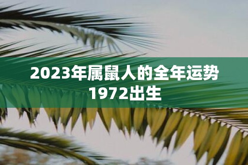 2023年属鼠人的全年运势1972出生