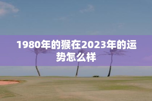 1980年的猴在2023年的运势怎么样