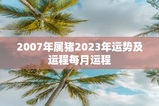 2007年属猪2023年运势及运程每月运程