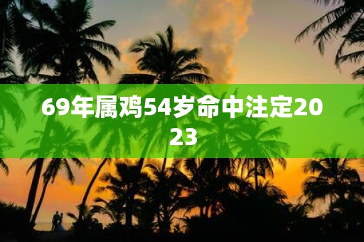 69年属鸡54岁命中注定2023