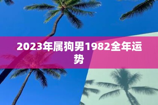 2023年属狗男1982全年运势