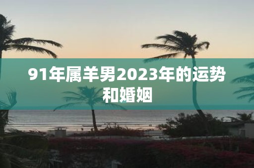 91年属羊男2023年的运势和婚姻