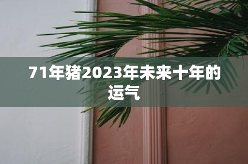 71年猪2023年未来十年的运气